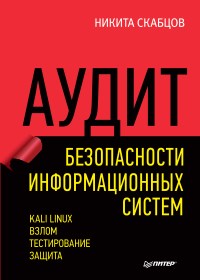 Книга Аудит безопасности информационных систем Скачать бесплатно. Автор - Никита Скабцов.