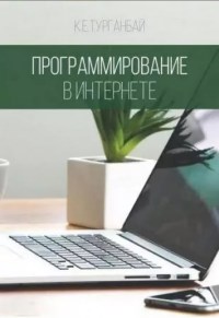 Книга Программирование в Интернете Скачать бесплатно. Автор - Куралай Турганбай.