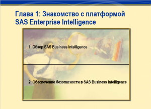Книга SAS Enterprise Intelligence Скачать бесплатно. 
